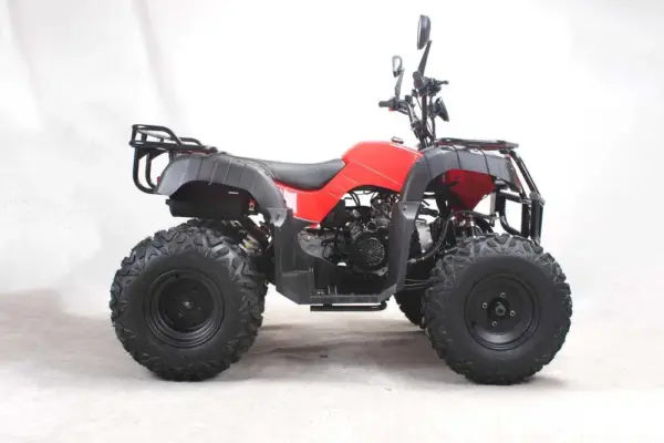 ATV 200cc Full Options Cutie Automata Jante 10 inch 6