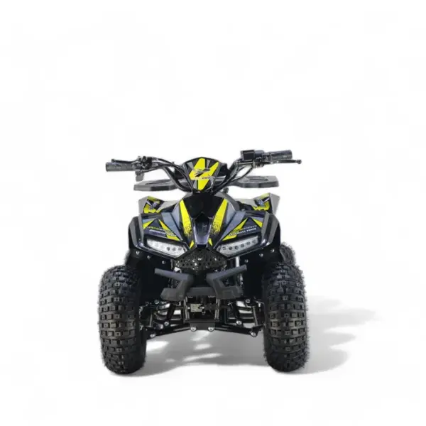 ATV Copii 125cc Roti 7 Inch Cutie Automata 3