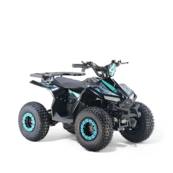 ATV Copii 125cc Roti 7 Inch Cutie Automata 8