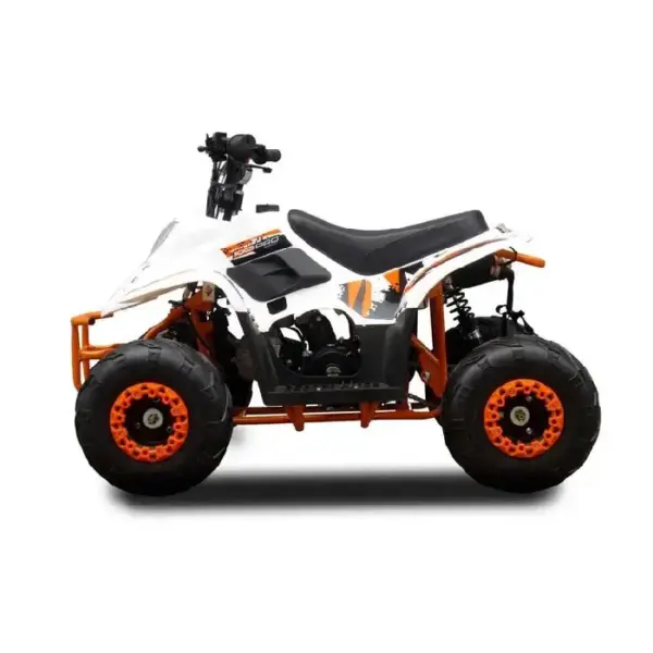 ATV pentru Copii pe Benzina 125cc Automat 3