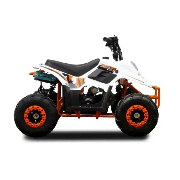 ATV pentru Copii pe Benzina 125cc Automat 4
