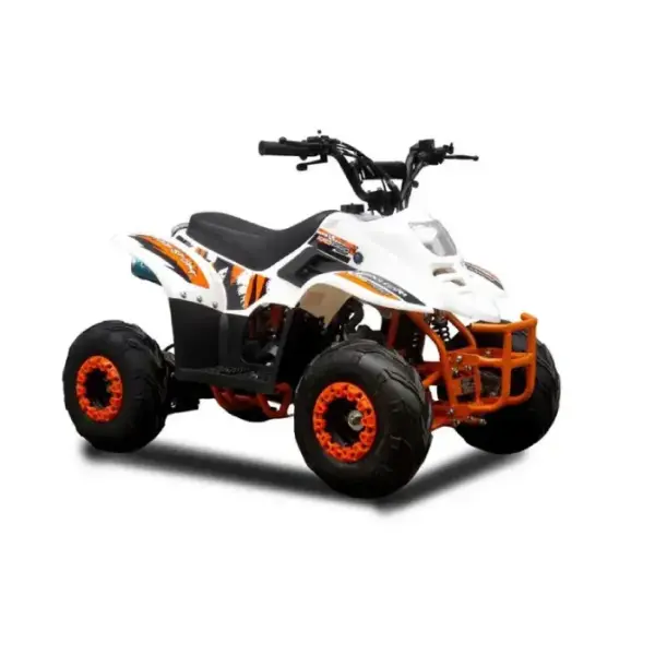 ATV pentru Copii pe Benzina 125cc Automat 5