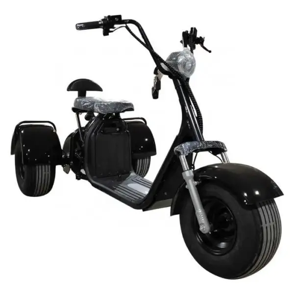 Scuter Electric 3 Roti 1500W 2 Persoane 2