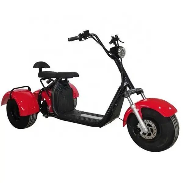 Scuter Electric 3 Roti 1500W 2 Persoane 6