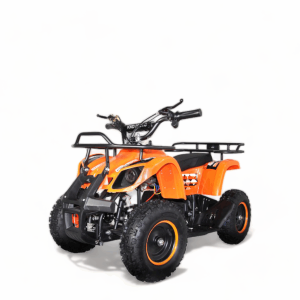 ATV Electric Mini5