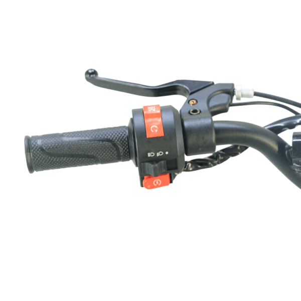 Mini ATV Electric pentru Copii3