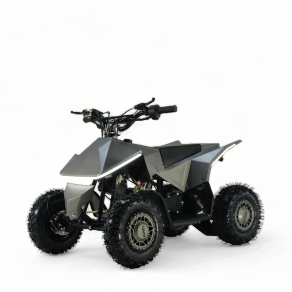 Mini ATV Electric pentru Copii6