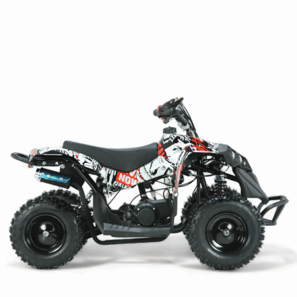 Mini ATV Electric5