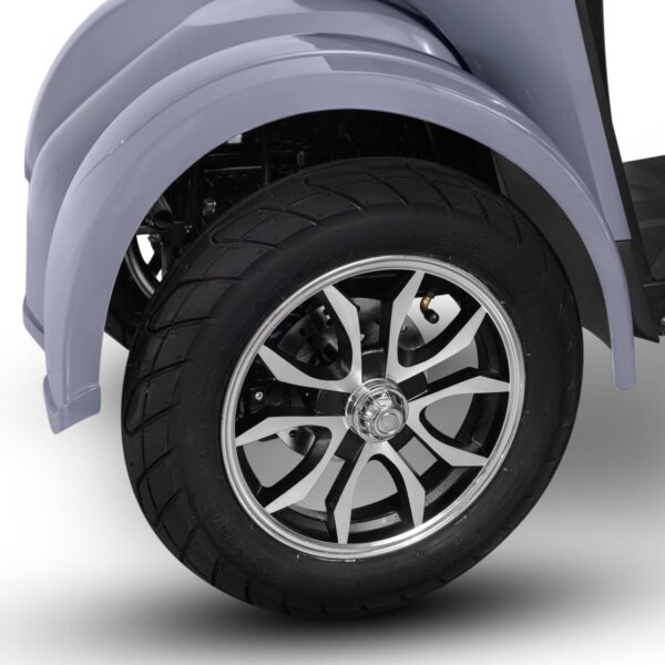 Tricicletă Electrică 1000W3