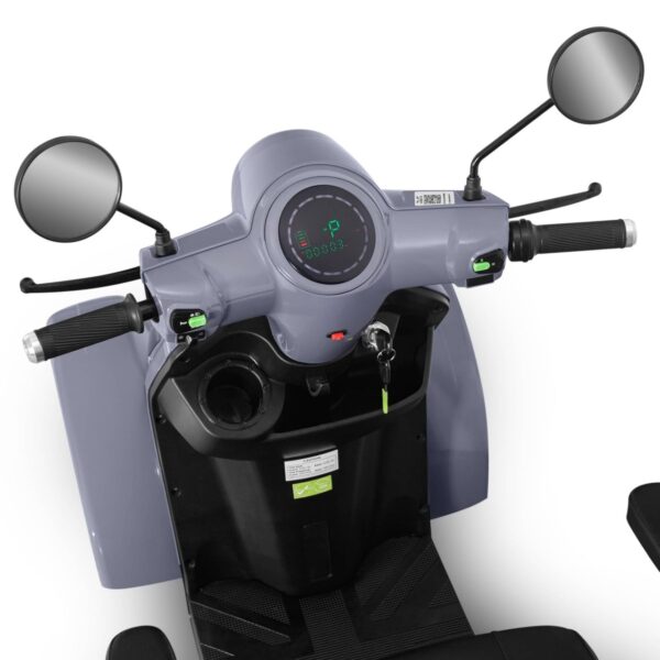 Tricicletă Electrică 1000W6