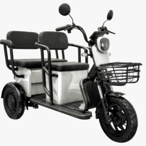 Tricicletă Electrică Alba, Fără Permis, 1000W