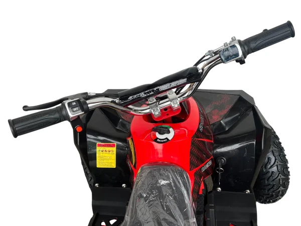 ATV XTL 1000W6