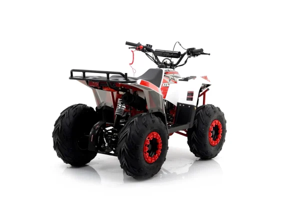 ATV XTL Commander 110cc4