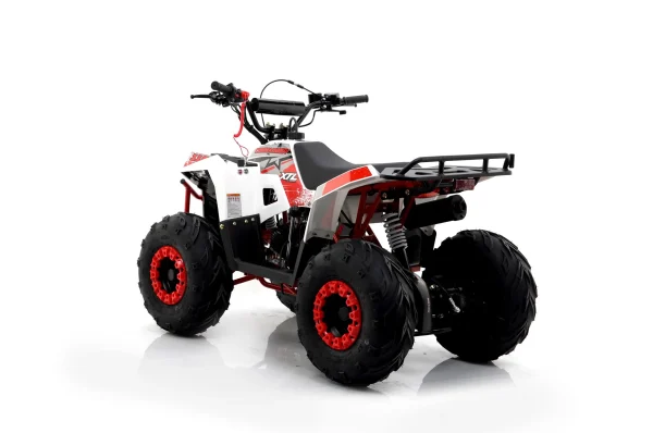 ATV XTL Commander 110cc6