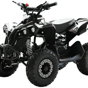 ATV XTL XBW Mini