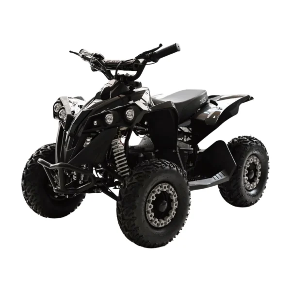ATV electric XTL6