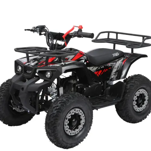 Mini ATV Copii ARES 49cc – Pornire la sfoară, Motor 2T (Benzină), Offroad