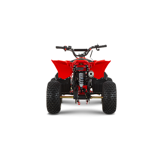 59A6082 550x550w 1.png