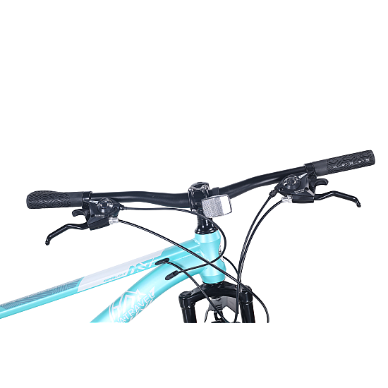 BICICLETA20RDB20BDF TK300202027.520TURCOAZ203 550x550w 1.png