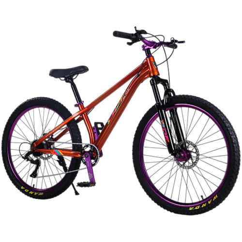 Bicicleta RDB BDF-TPC, roata 26 inch