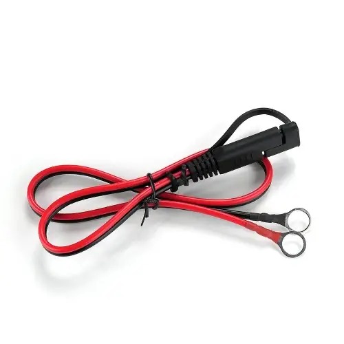 Incarcator inteligent 12V/24V curent 2/5/10A pt acumulatori si masinute electrice copii, everActive - imagine 4